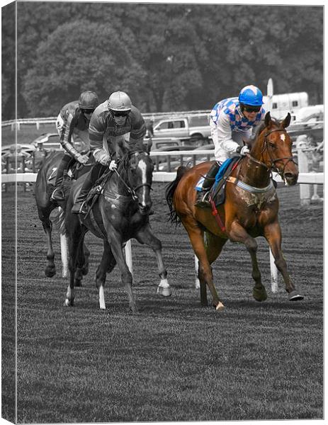 Day At The Races Canvas Print by Mark Robson