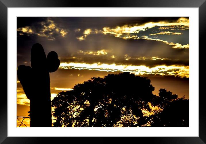  sunset befor the strom Framed Mounted Print by Pete Schulte