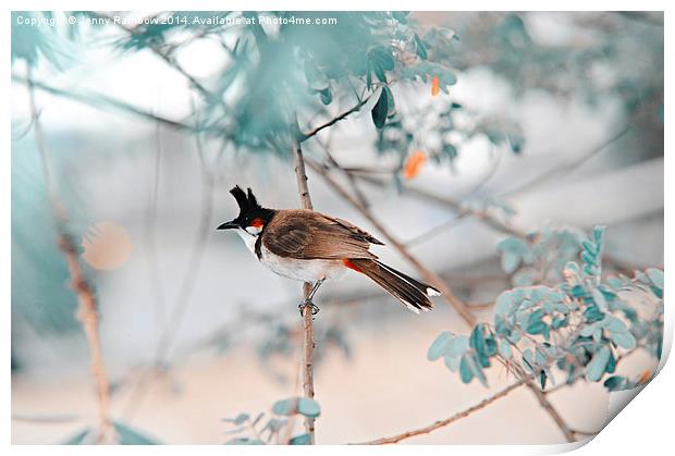  Red-Whiskered Bulbul. Nature in Alien Skin Print by Jenny Rainbow