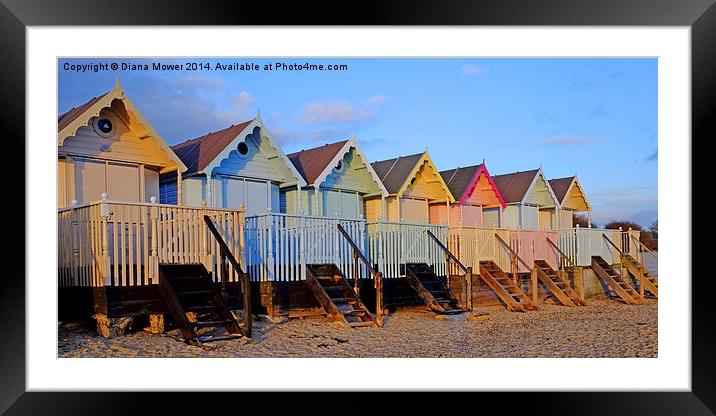  Mersea Beach Huts Framed Mounted Print by Diana Mower