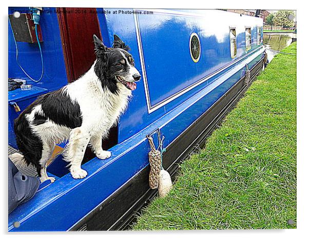  Collie aboard a barge. Acrylic by Lilian Marshall