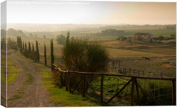 Morning in Tuscany Canvas Print by Neal P