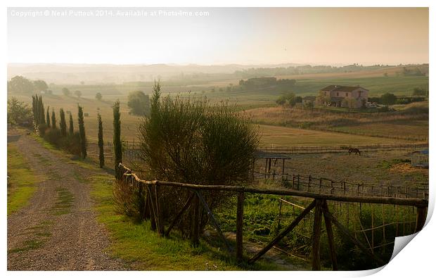 Morning in Tuscany Print by Neal P
