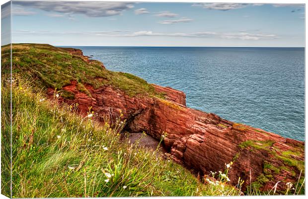 Cliffs of Arbroath  Canvas Print by Valerie Paterson