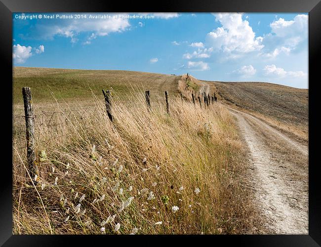  Path in the Field Framed Print by Neal P