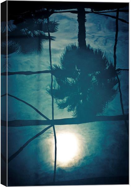  Florida Reflection Canvas Print by Jon Lingwood