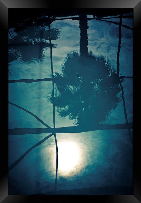  Florida Reflection Framed Print by Jon Lingwood