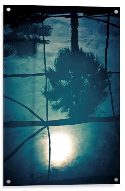  Florida Reflection Acrylic by Jon Lingwood