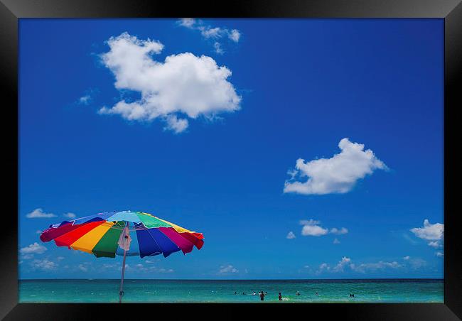 Passa-Grille beach, Pinellas County, Florida Framed Print by Jon Lingwood