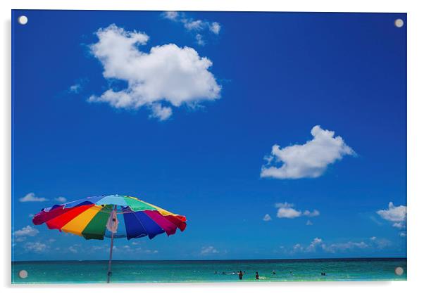Passa-Grille beach, Pinellas County, Florida Acrylic by Jon Lingwood