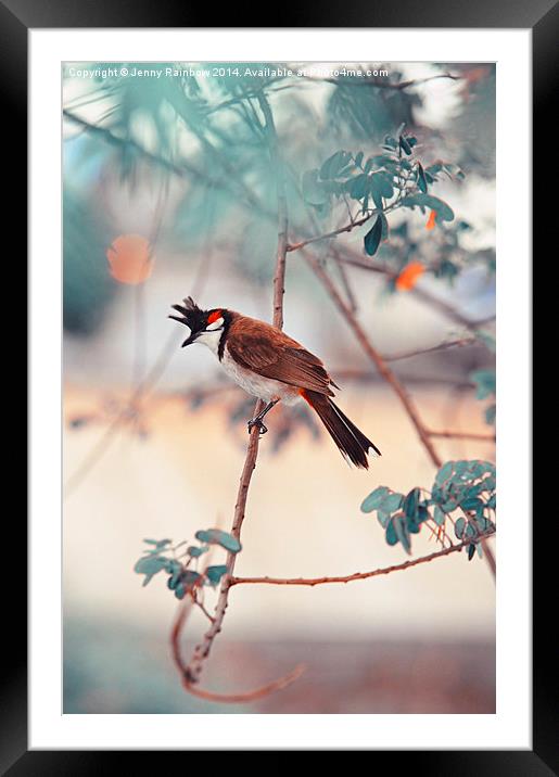  Red-whiskered Bulbul. Nature In Alien Skin. Verti Framed Mounted Print by Jenny Rainbow
