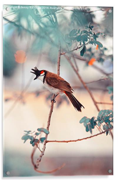  Red-whiskered Bulbul. Nature In Alien Skin. Verti Acrylic by Jenny Rainbow