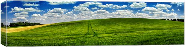  Green summer field, Panoramic Landscape  Canvas Print by Scott Maloney