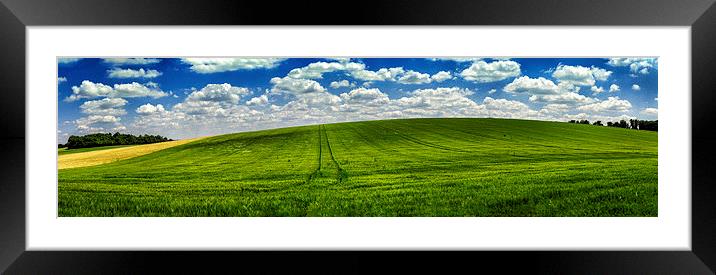  Green summer field, Panoramic Landscape  Framed Mounted Print by Scott Maloney