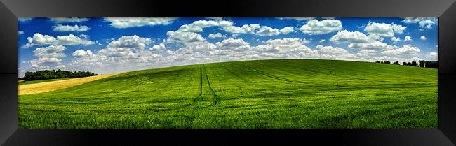  Green summer field, Panoramic Landscape  Framed Print by Scott Maloney