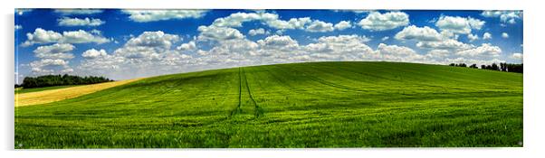  Green summer field, Panoramic Landscape  Acrylic by Scott Maloney