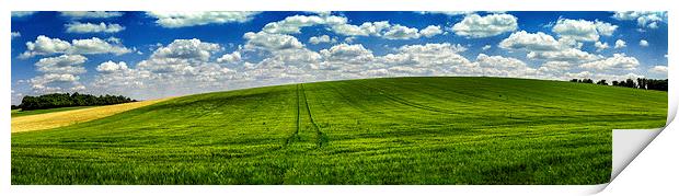  Green summer field, Panoramic Landscape  Print by Scott Maloney