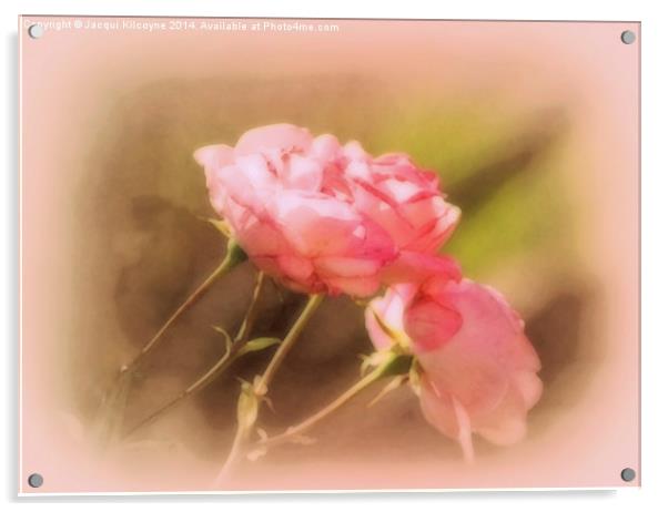 Soft Pink Roses  Acrylic by Jacqui Kilcoyne