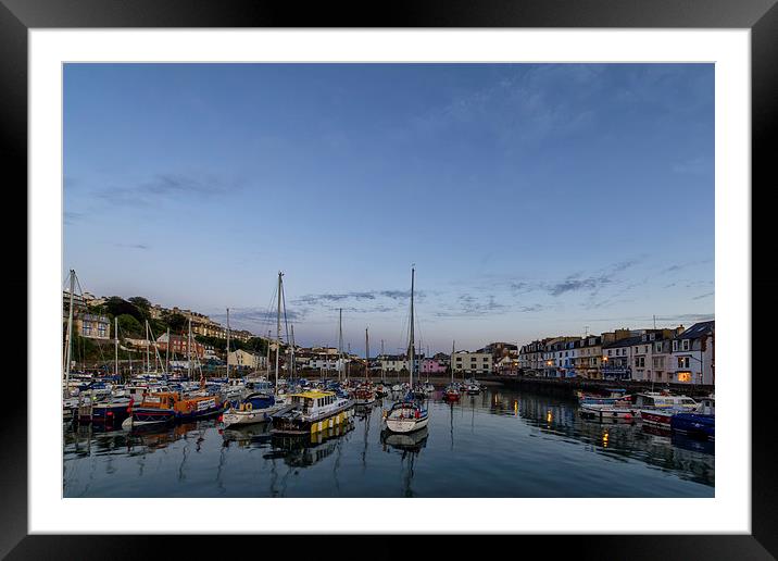  Ilfracombe Harbour Framed Mounted Print by Dave Wilkinson North Devon Ph