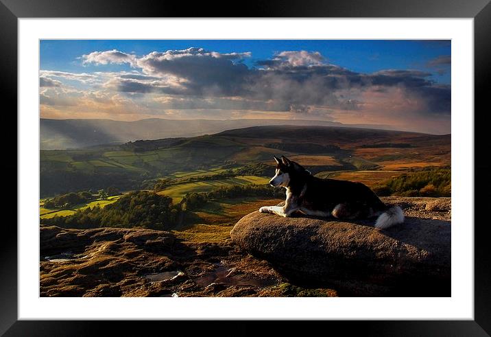 Everything the light touches Framed Mounted Print by John Cropper