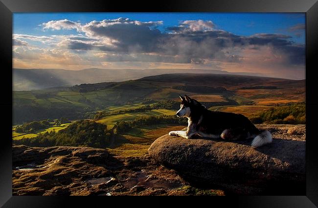 Everything the light touches Framed Print by John Cropper