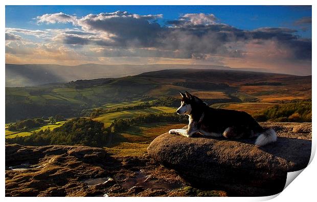 Everything the light touches Print by John Cropper