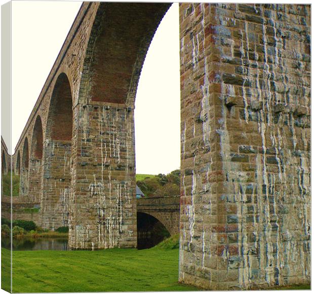 viaduct Canvas Print by malcolm maclean