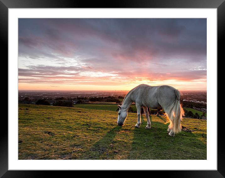  Sunset Horse Framed Mounted Print by John Cropper