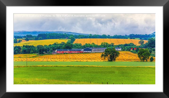  Rural Scottish Landscape Framed Mounted Print by Tylie Duff Photo Art