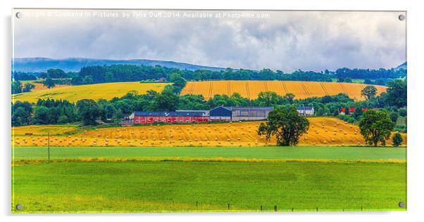  Rural Scottish Landscape Acrylic by Tylie Duff Photo Art