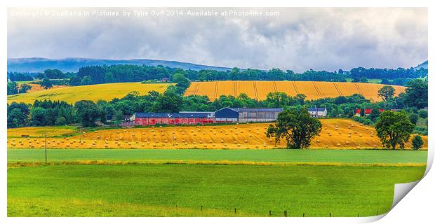  Rural Scottish Landscape Print by Tylie Duff Photo Art