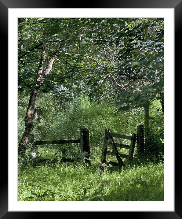 To Green Pastures Framed Mounted Print by Mike Gorton