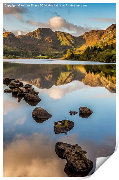 Crafnant Lake Wales Print by Adrian Evans