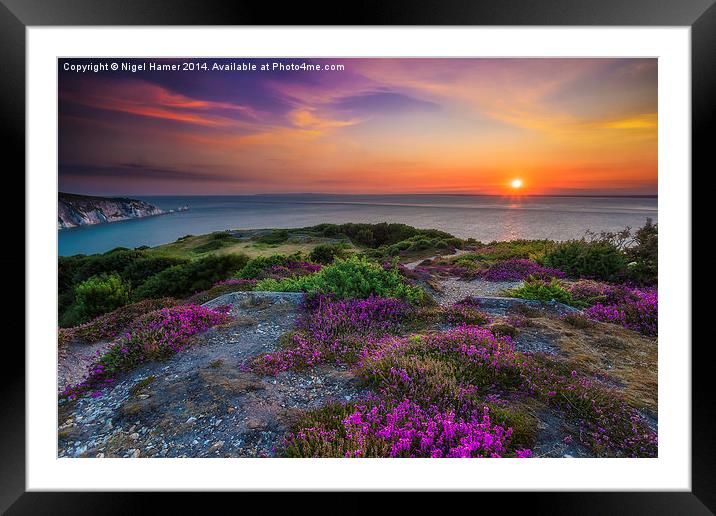 Heather Sunset Framed Mounted Print by Wight Landscapes