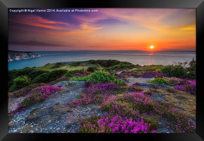 Heather Sunset Framed Print by Wight Landscapes