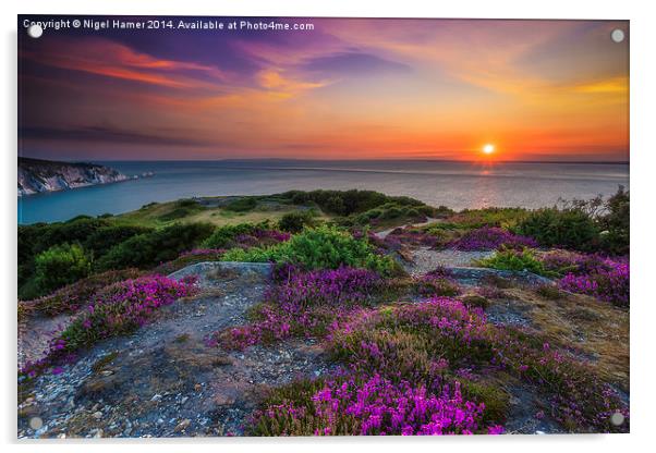Heather Sunset Acrylic by Wight Landscapes