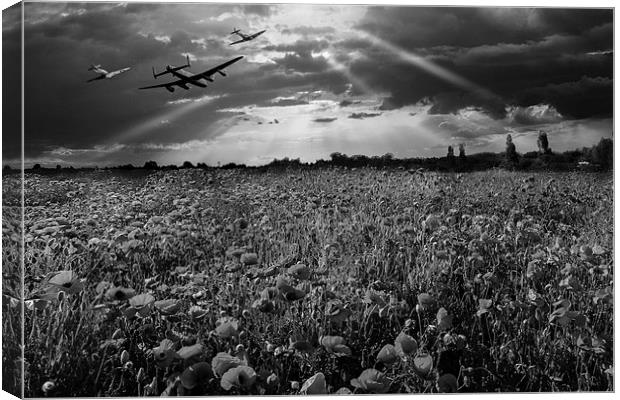 The final sortie, black and white version Canvas Print by Gary Eason