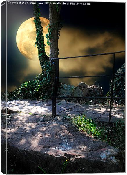  Walking in Moonlight Canvas Print by Christine Lake