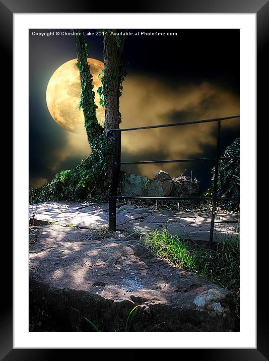  Walking in Moonlight Framed Mounted Print by Christine Lake
