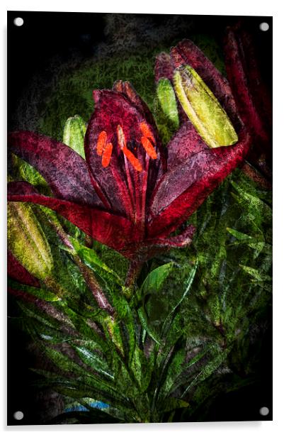 Red Lily 3 Acrylic by Steve Purnell