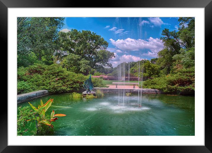  Botanical Garden Framed Mounted Print by Jonah Anderson Photography