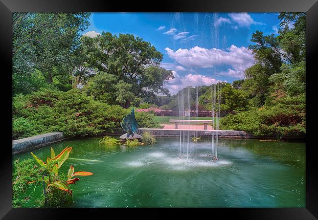  Botanical Garden Framed Print by Jonah Anderson Photography