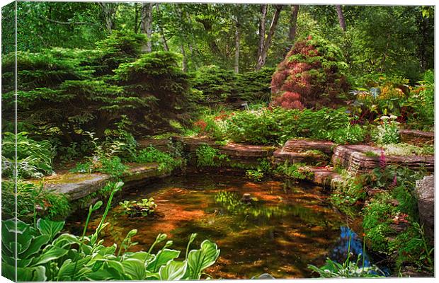  Garden Pond   Canvas Print by Jonah Anderson Photography