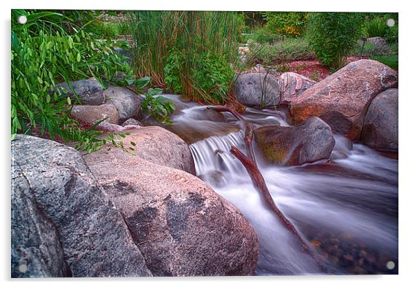  Small Stream Acrylic by Jonah Anderson Photography