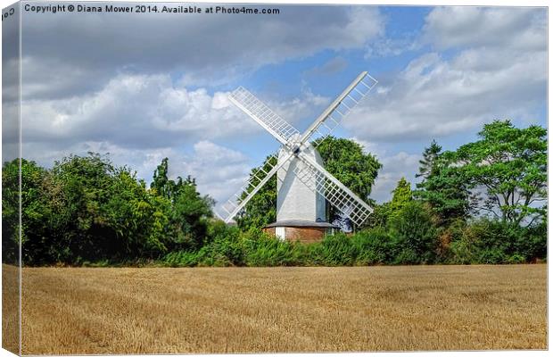Bocking Windmill  Canvas Print by Diana Mower