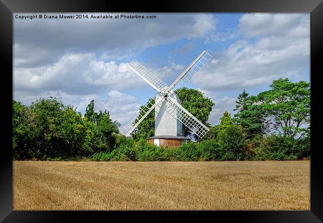 Bocking Windmill  Framed Print by Diana Mower