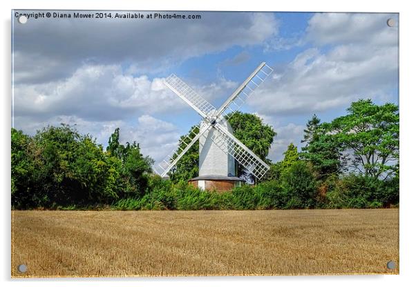 Bocking Windmill  Acrylic by Diana Mower