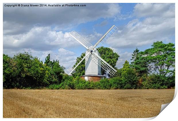 Bocking Windmill  Print by Diana Mower
