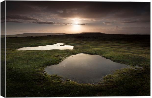  Cefn Bryn puddles Canvas Print by Leighton Collins