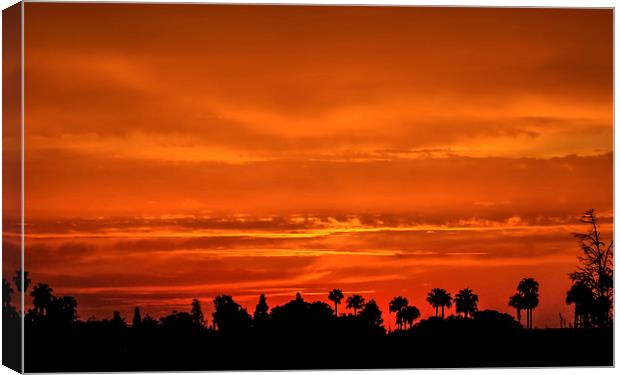 Marrakesh Sunset Canvas Print by Peta Thames